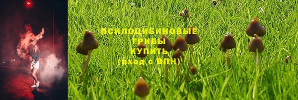 MESCALINE Аркадак