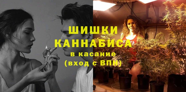 MESCALINE Аркадак