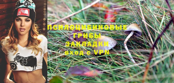 MESCALINE Аркадак